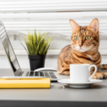 ペット葬儀　火葬はどのくらい時間がかかる？